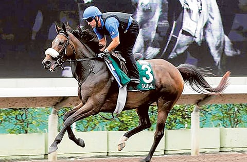 Courtesy Hong Kong Jockey Club