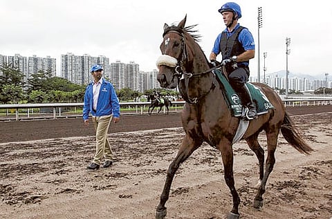 Courtesy: Hong Kong Jockey Club
