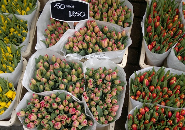 1.1176476-1897276865