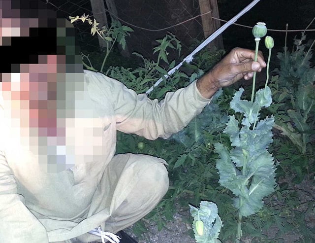 1.1166325-1607013978