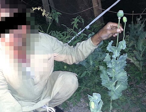 Courtesy: Royal Oman Police