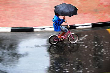 Reader pictures of the day