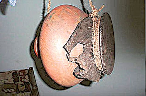 No lizards, goats may salvage Goa’s clay pot