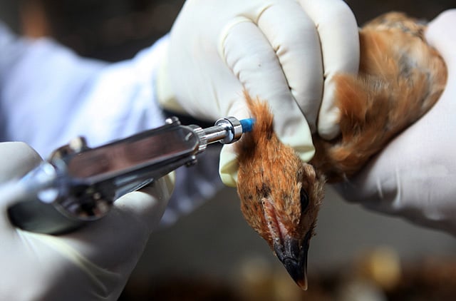 1.1168612-3308618619