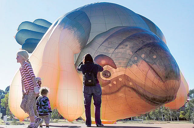 1.1182066-1006982380