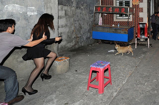 1.1183017-2355179182