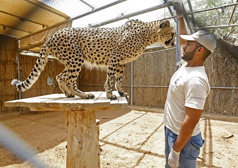 XPRESS/Hadrian Hernandez