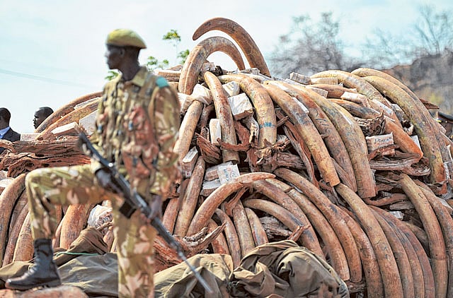 1.1184632-1453895891