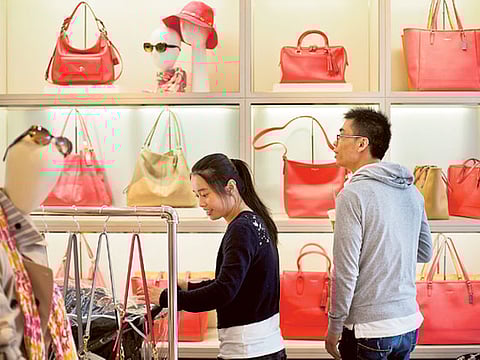 Survival of fittest leads to jungle economics