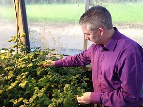 Adrian Higgins/Washington Post