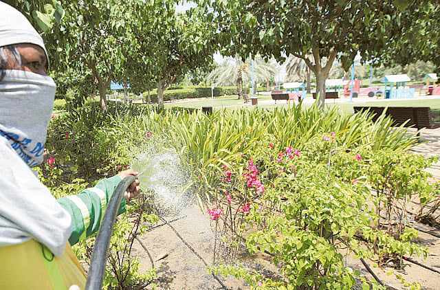 1.1189105-2353166994