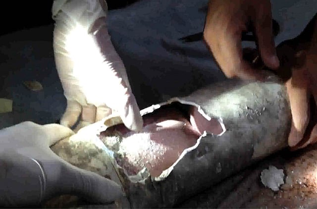 1.1189949-3071890933