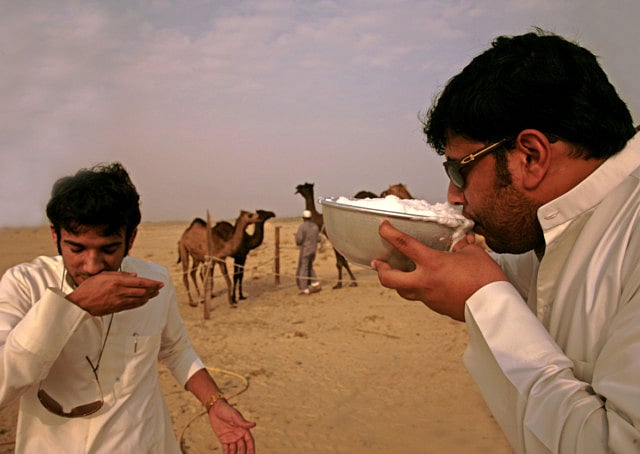 1.1190442-1454856265