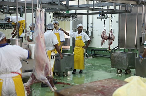 Francois Nel/Gulf News archives