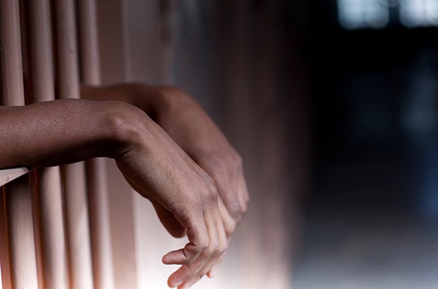 1.1293523-3092776646