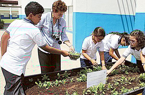 The Lycée Français