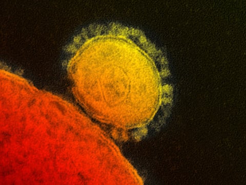 Riyadh denies holding back Mers data
