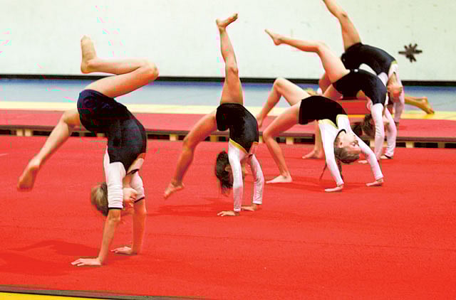 1.1202581-4007512785