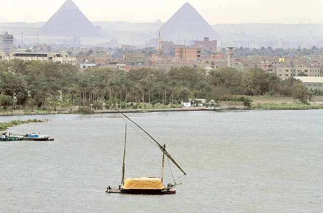 1.1191990-2018518893