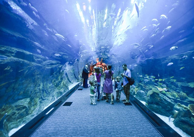 1.1192019-2730856661