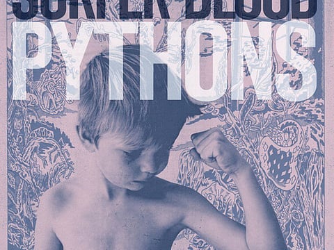 Album review: Surfer Blood’s Pythons