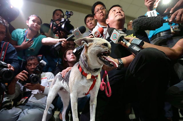 1.1194238-3378625196