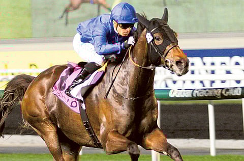 Sajjhaa of Godolphin had a glorious season in 2013, winning her four starts at the track for trainer Saeed Bin Surour.