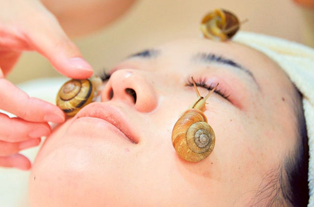 1.1208846-1308279118