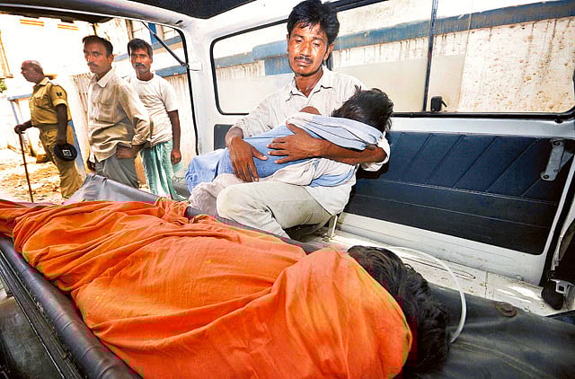 1.1210009-3736920759