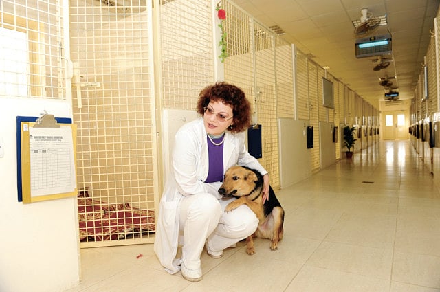 1.1210315-2136356104