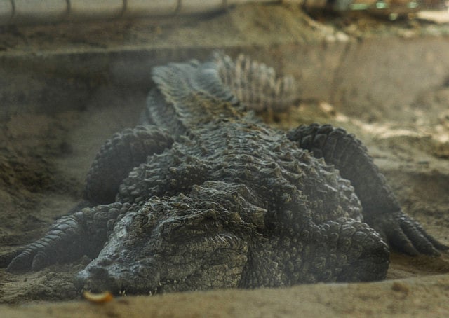 1.1533731-1212893932