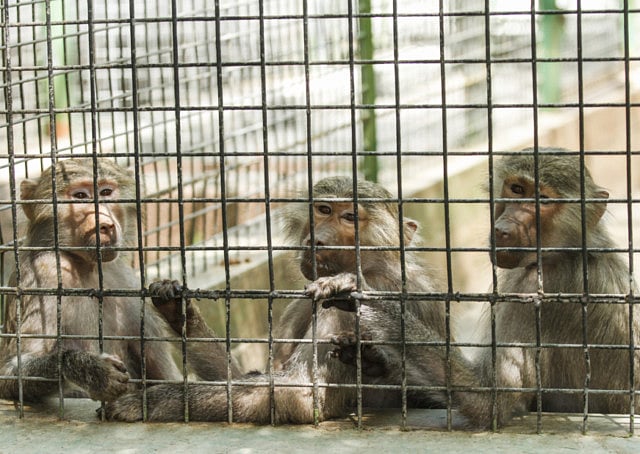 1.1204873-4152095885