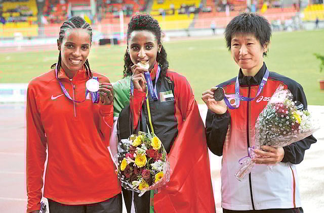 1.1206029-4088332757