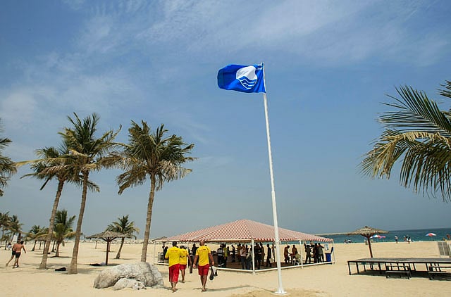 1.1206059-4281339532