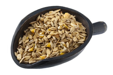 Getty Images/iStockphoto