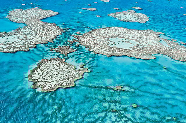 1.1215690-4185518630