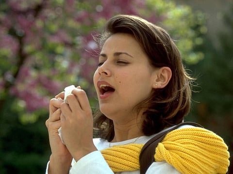 Scientists crack the code to stop a cold