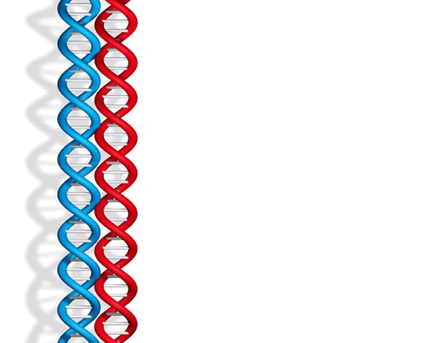 1.1222671-3510024940