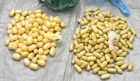 Drugs worth 2.5b riyals seized in Saudi Arabia
