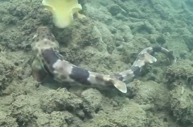 1.1225679-4142077372