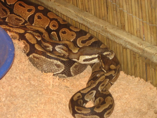 1.1217964-3232468358