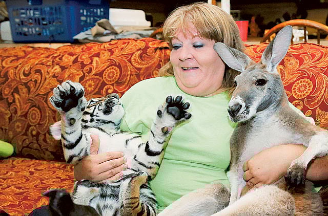 1.1226097-3670521904