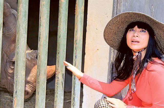 1.1234026-3895454883