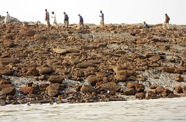 1.1235447-2753889825