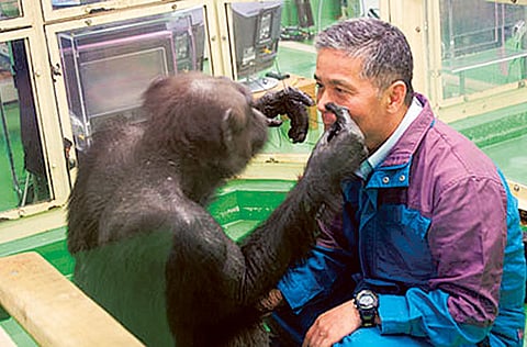 Guardian News & Media Ltd.