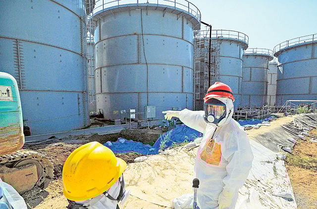 1.1312555-3154225072