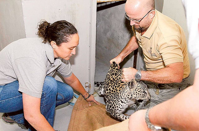 1.1277480-3403418178