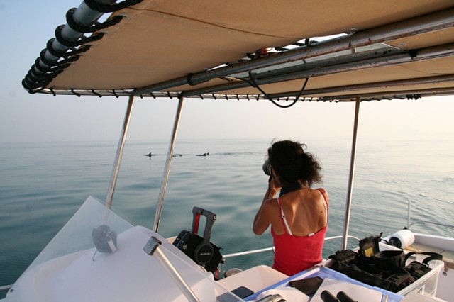 1.1278073-3682045557