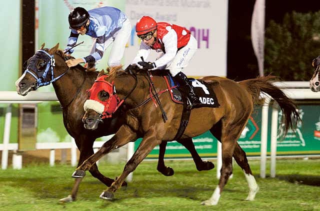 1.1279763-2434960694