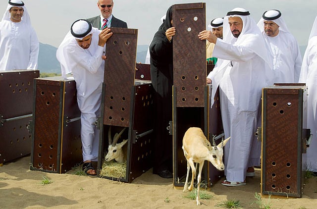 1.1283093-2920404302